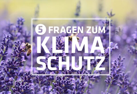 Fünf Fragen zum Klimaschutz, Teil 5 und letzter Teil | Warlich Mediengruppe